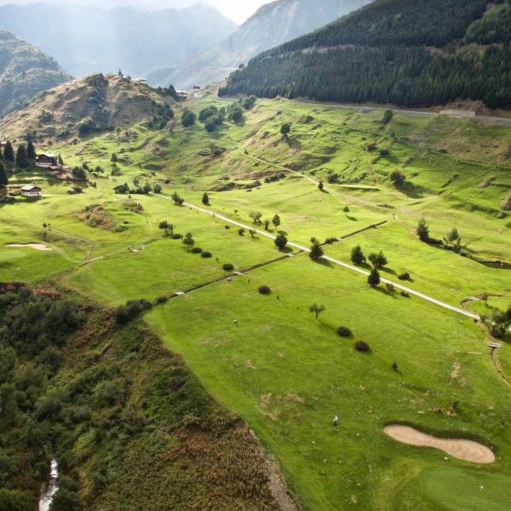 Aerial — Surselva, larch forests
